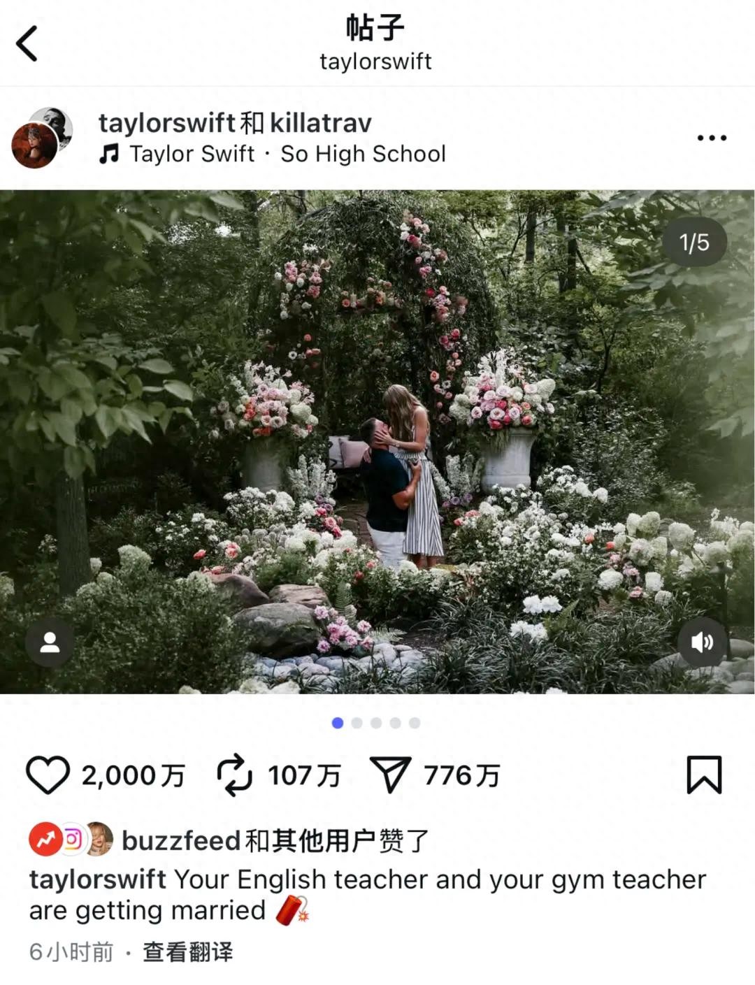 amp, tenan, 次入选职业